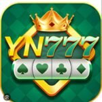 YN777